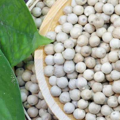 Hainan white pepper
